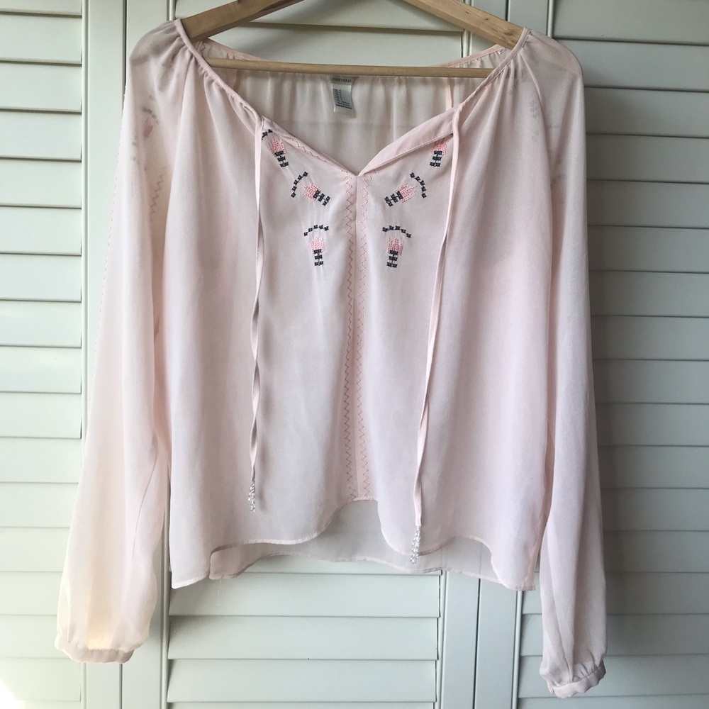 Light Pink Thin Sheer Blouse